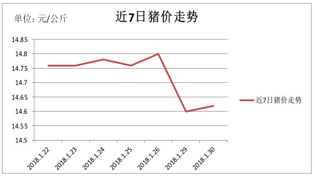 今日猪价走势深度解析