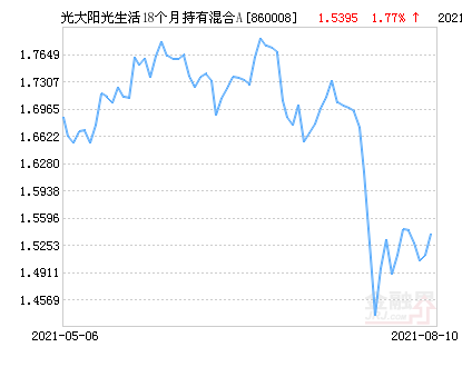 阳光5号基金最新净值动态与投资洞察，深度解析与策略建议