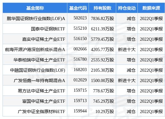 鹏华中国50最新净值深度解读及未来展望分析