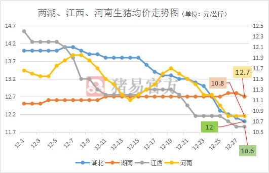 海阳猪价最新涨跌趋势分析