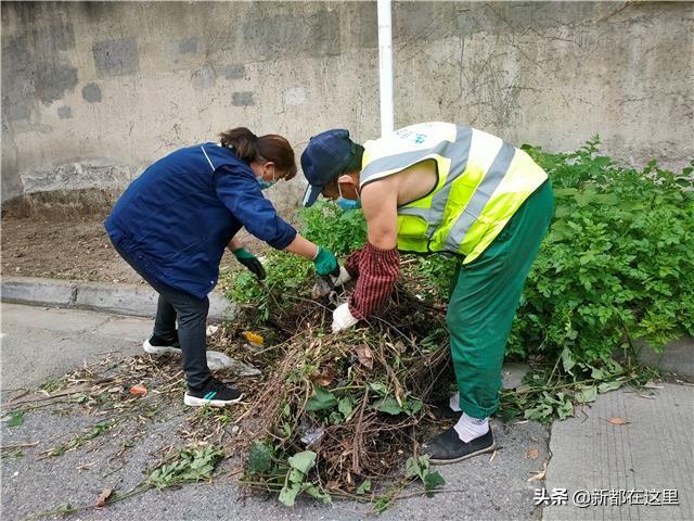 新都保洁重塑城市清洁新面貌